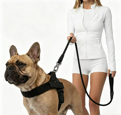 No Pull Tactical Dog Harness & Elastic Leash Set, Adjustable Outdoor Training Gear for Medium Large Dogs