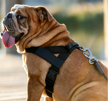 No Pull Tactical Dog Harness & Elastic Leash Set, Adjustable Outdoor Training Gear for Medium Large Dogs