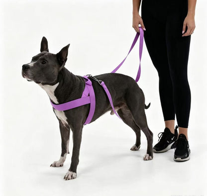 No Pull Tactical Dog Harness & Elastic Leash Set, Adjustable Outdoor Training Gear for Medium Large Dogs