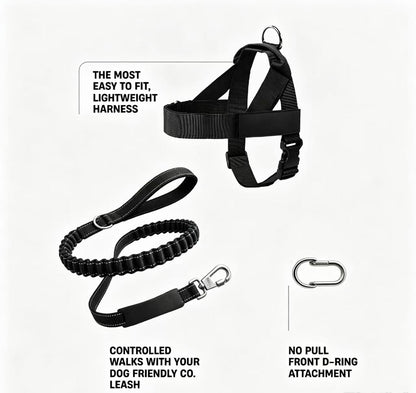 No Pull Tactical Dog Harness & Elastic Leash Set, Adjustable Outdoor Training Gear for Medium Large Dogs